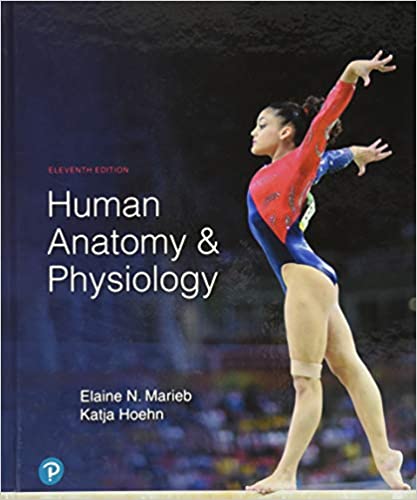 Human Anatomy & Physiology (11th Edition) BY Marieb - Hq Pdf